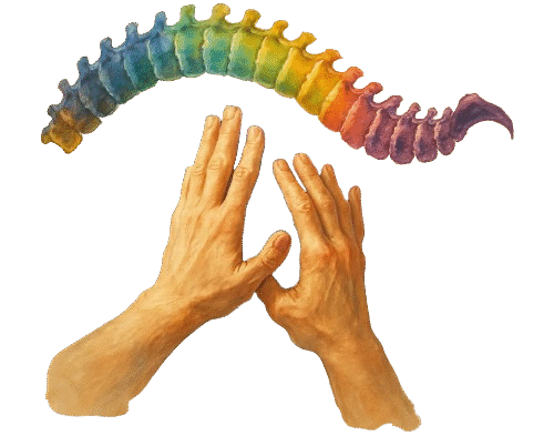 Instant form site logo